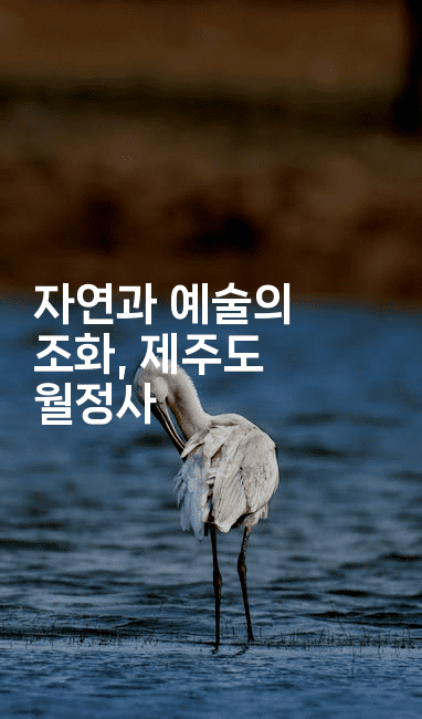 자연과 예술의 조화, 제주도 월정사
-산사모