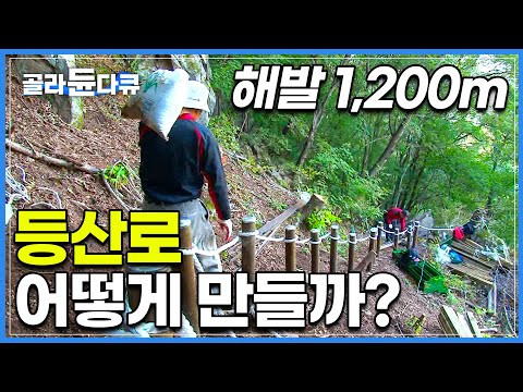 험준한 산길을 무거운 자재 나르며, 차곡차곡 맨손으로 등산로 만들기│해발 1,230m 장안산 등산로는 어떻게 만들어졌을까?│산악 정비사업│극한직업│#골라듄다큐