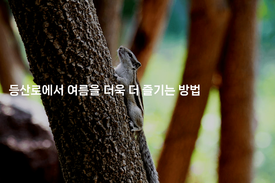 등산로에서 여름을 더욱 더 즐기는 방법2-산사모