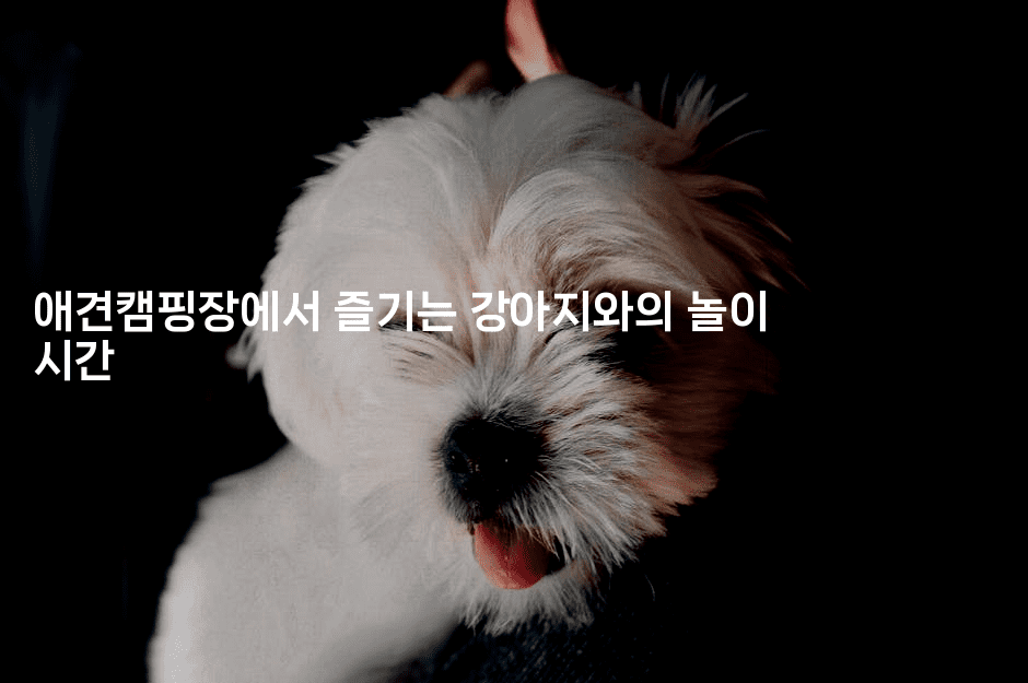 애견캠핑장에서 즐기는 강아지와의 놀이 시간-산사모