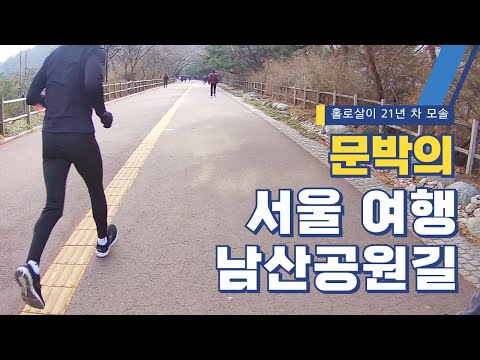 늘 기분 좋은 산책로, 풍성한 볼거리가 있는 남산공원길ㅣ21년 차 홀로살이 모솔의 서울 여행ㅣ#seoulwalk #namsan #seoullife