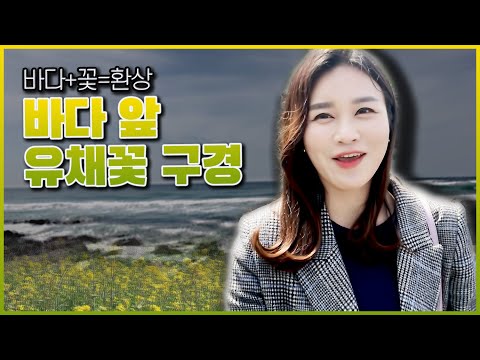 【JEJU VLOG】 한담해안산책로에서 유채꽃 보며 산책하기 / Handam #한담해안산책로