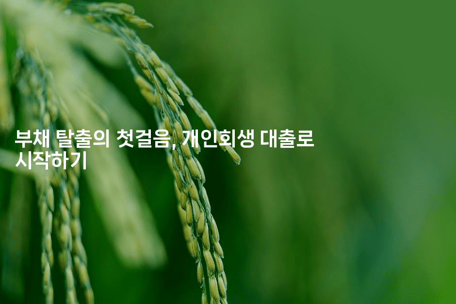 부채 탈출의 첫걸음, 개인회생 대출로 시작하기