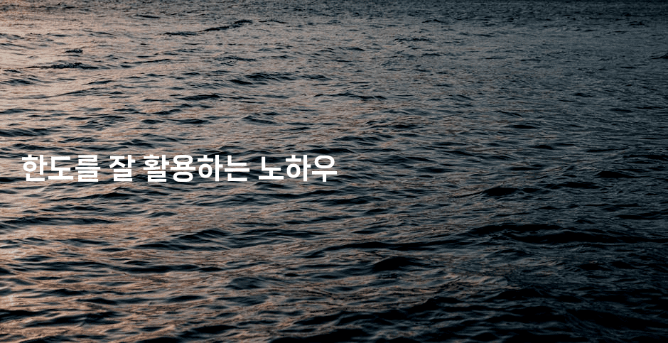 한도를 잘 활용하는 노하우-산사모