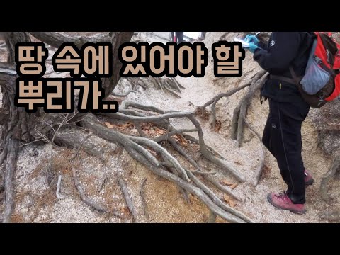 넓어지는 등산로로 훼손되는 산림 / YTN 사이언스