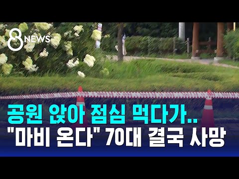 공원 앉아 점심먹다가…"마비 온다" 70대 결국 사망 / SBS 8뉴스