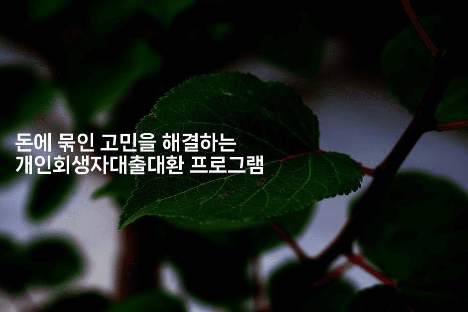 돈에 묶인 고민을 해결하는 개인회생자대출대환 프로그램-산사모