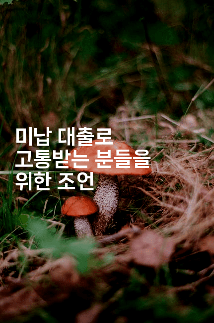 미납 대출로 고통받는 분들을 위한 조언-산사모