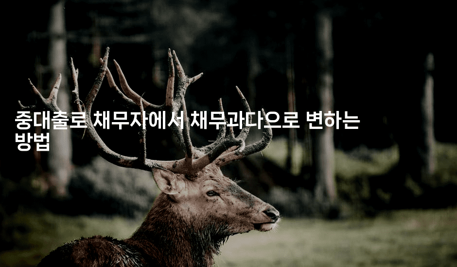 중대출로 채무자에서 채무과다으로 변하는 방법-산사모