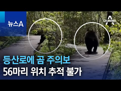 등산로에 곰 주의보…56마리 위치 추적 불가 | 뉴스A