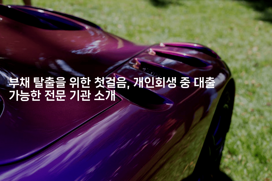 부채 탈출을 위한 첫걸음, 개인회생 중 대출 가능한 전문 기관 소개-산사모