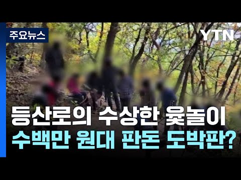 등산로의 수상한 윷놀이...잡고 보니 판돈 수백 도박판 / YTN