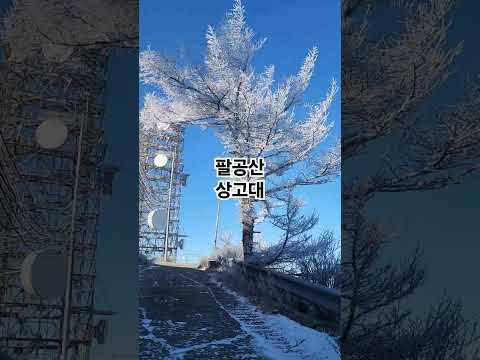 팔공산 등산! #100대명산챌린지 #팔공산 #상고대