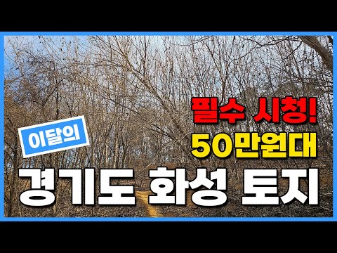 !필수 시청! 이달의 50만원대 경기도 화성시 토지! 역과 호수공원이 생기는 땅급매! 010-2308-4287