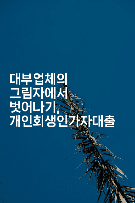 대부업체의 그림자에서 벗어나기, 개인회생인가자대출-산사모