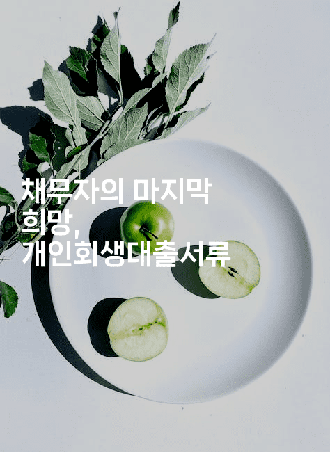 채무자의 마지막 희망, 개인회생대출서류