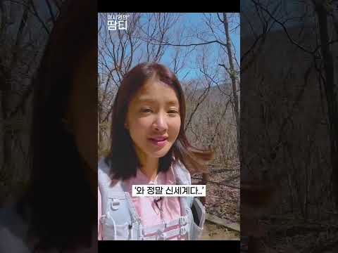 등산 시작해 보려는데 장비 뭐 사야 해요? #leesiyoung #등산용품