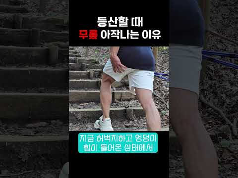 등산 효과 2배로 늘리는 법! #shorts