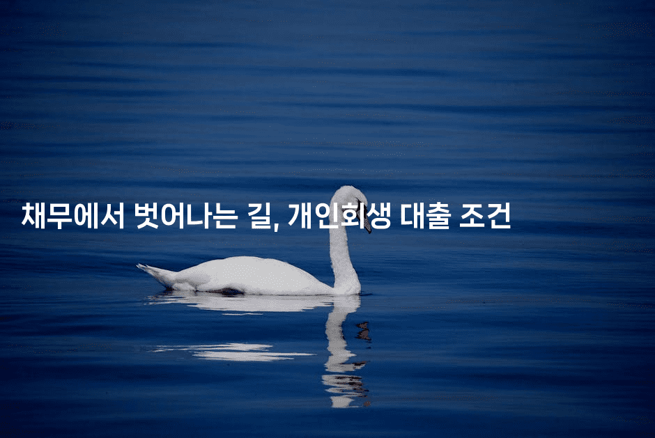 채무에서 벗어나는 길, 개인회생 대출 조건-산사모